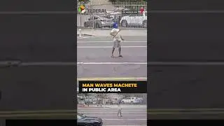 Sikh man fatally shot by Los Angeles police while wielding machete | #shorts