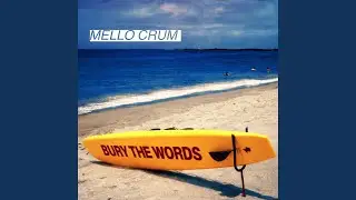 Bury The Words