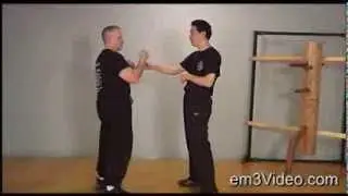Wing Chun Vol 4 CHI SAO DVD by Samuel Kwok