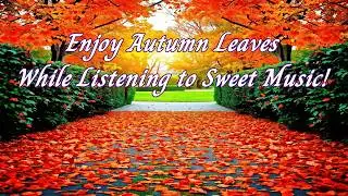 Enjoy Autumn Leaves While Listening to Sweet Music! #healing music #sweet music #autumn leaves
