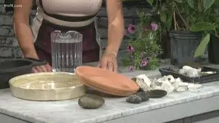 How to make a proper bee bath