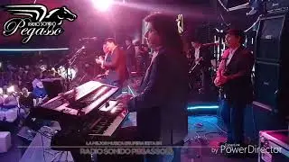TOPPAZ DE REYNALDO FLORES - LA VACA MORADA.