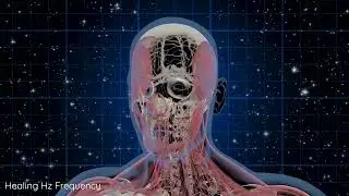 Joint Healing Frequency, Repair Bones, Heal Your Tendons Muscles Bones & Joints, Music Therapy 432hz