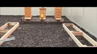 BeeHive Stands