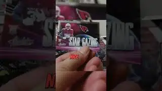 Absolute from Wildcardcrew Sports. #shorts