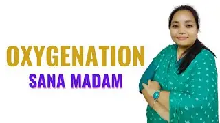 Oxygenation II Foundations Of Nursing II B Sc 1st Year II