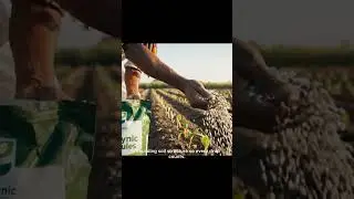 How Healthy Soil Can Save You From Drought