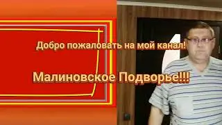 ЭКСПЕРЕМЕНТ С ПЕРЕПЕЛАМИ ( Феникс + Техасец =?)