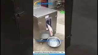 Fish Gutting Machine#Fish Scaling And Gutting Machine