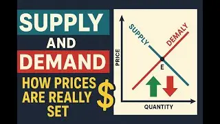 Ep11-The Power of Supply and Demand