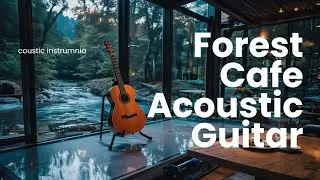 Cozy Forest Cafe Acoustic Guitar | Relaxing Instrumental Music for Calm & Focus