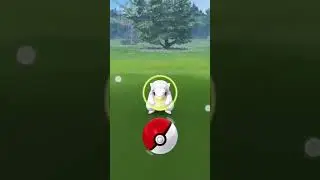 My Sandshrew Spotlight Hour! (Special ✨Shiny!!! ✨) #pokemongo #shorts