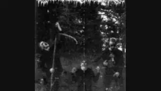 Darkwoods My Betrothed - Burn, Witches, Burn