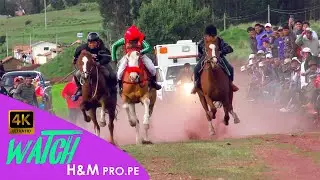 MEMORIES: DUENDE Careto Hasta los Belfos - Stud HUELLAS. De la familia Caballero D&iacute;az ✔H&M PRO.PE