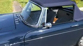 1965 Sunbeam Tiger