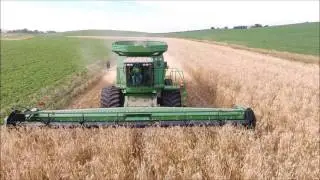 Winter Rye Harvest