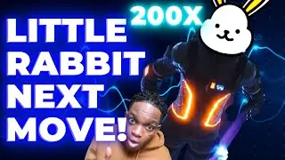 Little Rabbit Token - Why you should invest in little rabbit token +50000%