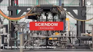 Glass Wine Bottle Quality Inspection Process