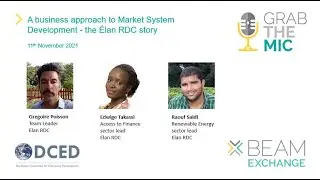 A business approach to Market System Development - the &Eacute;lan RDC story