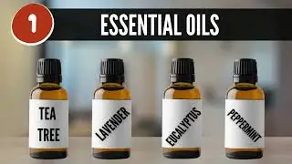 Are Natural Bed Bug Repellents Effective? | The Bed Bugs Experts