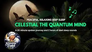 Real Sleepy Chef | Deep Sleep - Quantum Mind Grid: Is your Brain Secretly Connected to the Universe?