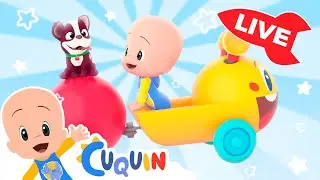 🔴 LIVE 🔴 Learn colors, numbers and shapes with Cuquín | Educational videos for kids