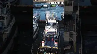 How Ships Defy Gravity: The Science of Floating! #ScienceOfFloating #Buoyancy #Physics #Ships