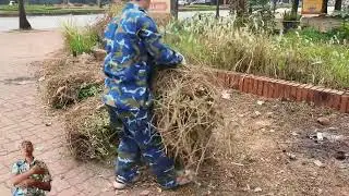 Volunteering Alone to Clean Sidewalks Full of Weeds and Trash: Restoring Beauty to the Streets.