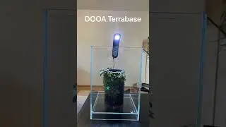 DOOA Terrabase Moss gone crazy