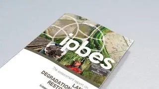 Urgent Action on Land Degradation makes real Economic Sense