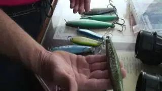Jig Fishing Mossback: Yellowtail at Cedros Island