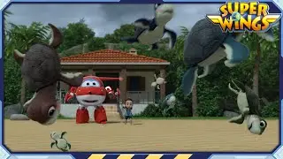[SUPERWINGS Top5] Special Animal Friends by the Sea | Superwings | Super Wings | Top Picks A43