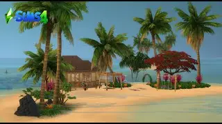 Couple's Small Beach Home Part 1 Tiny House Series