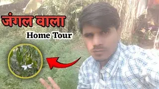 जंगल वाला Home Tour #vlogging #gautamsir 