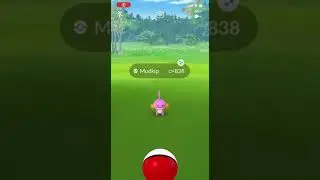 Catching MUDKIP SHUNDO 💯✨✨✨🤔 | Pokemon Go