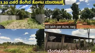 60 ಲಕ್ಷ ||3.30 Acre Agricultural Land For Sale In Bangalore Rural|ತೆಂಗಿನ ತೋಟ ಮಾರಾಟಕ್ಕೆ||7975356662