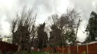 Storm Doris - Gusty London - 23rd Feb - 2017