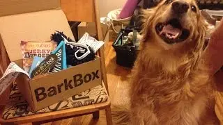 BarkBox September 2014 Review + Coupon