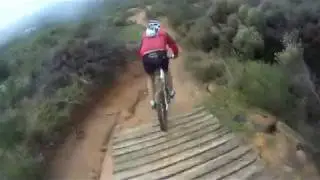 Tokai SingleTrack
