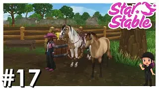 St2#17 - Lynx: Ein neues Pferd im Stall [Star Stable] [Lets Play] [Deutsch]