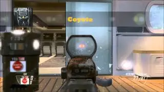 PACK A PUNCH, AQUA, COYOTE AND MORE- BO2 PERSONALIZATION PACKS
