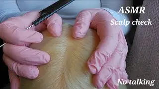 ASMR scalp check ✨️ hair brushing, scalp scratching, hair parting, tracing ✨️ w/gloves (no talking)