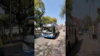 Delhi darshan bus service hoho bus delhi tour #delhi #delhitouristplaces #delhidarshan #delhitour