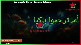NABI AMAAN || شوقي للحبيب النّبي