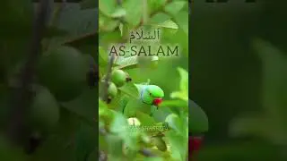 Allah Name whatsspp status jummah Mubarak #tilawet #trending