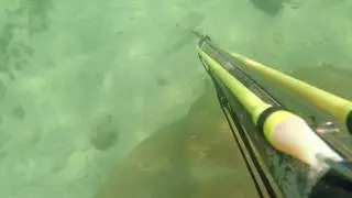 Shooting fish in the face!🐟🔫