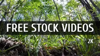 Nature - download free stock video footage