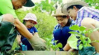 2024 Mini Documentary : Nature: Guardian of Green