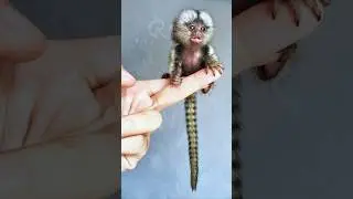 STUNNING RARE IMAGES | PART 12
