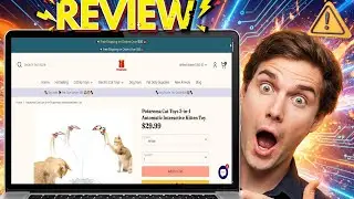 Potaroma 3-in-1 Cat Toy Review 2026 | Features, Setup & Play Test